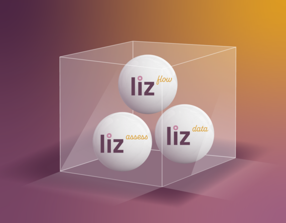 The liz glass box filled with liz flow, liz assess, and liz data balls.