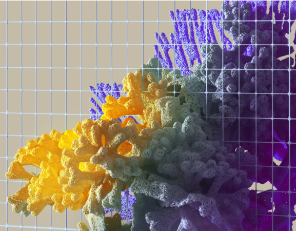 Stylized image of what appears to be coloured coral made from plastic on a plastic grid.