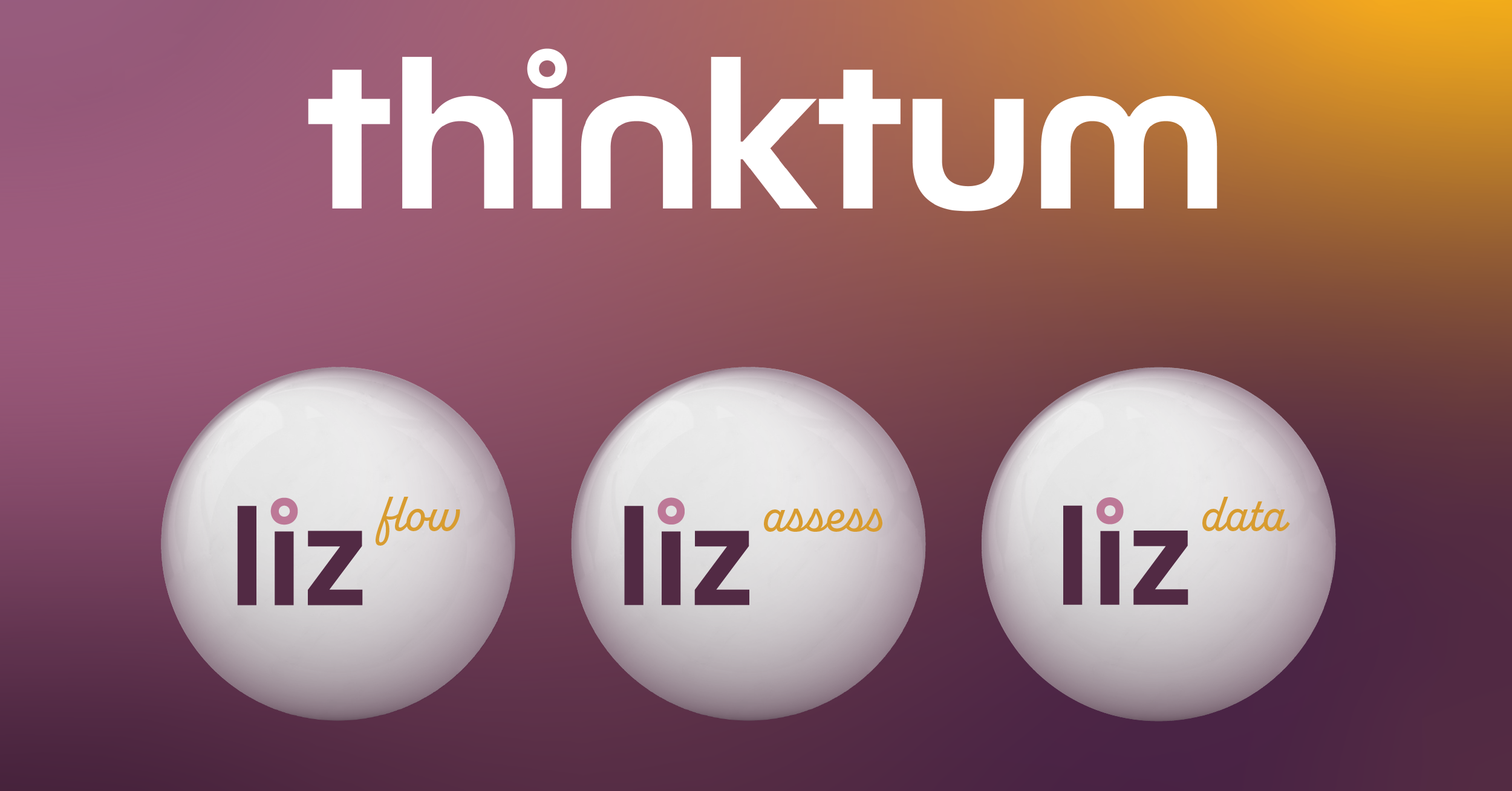 The thinktum wordmark is shown above the three liz balls, from the left flow, liz assess, then liz data.