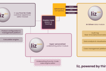 The liz operational flow from liz flow to liz assess, and liz data with specific actions listed for each module and liz, powered by thinktum.